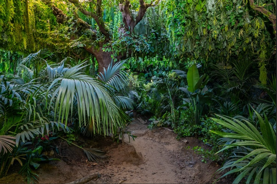 Adventure Awaits Around Every Corner