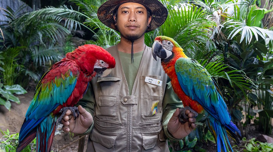 Immerse Yourself in Nature