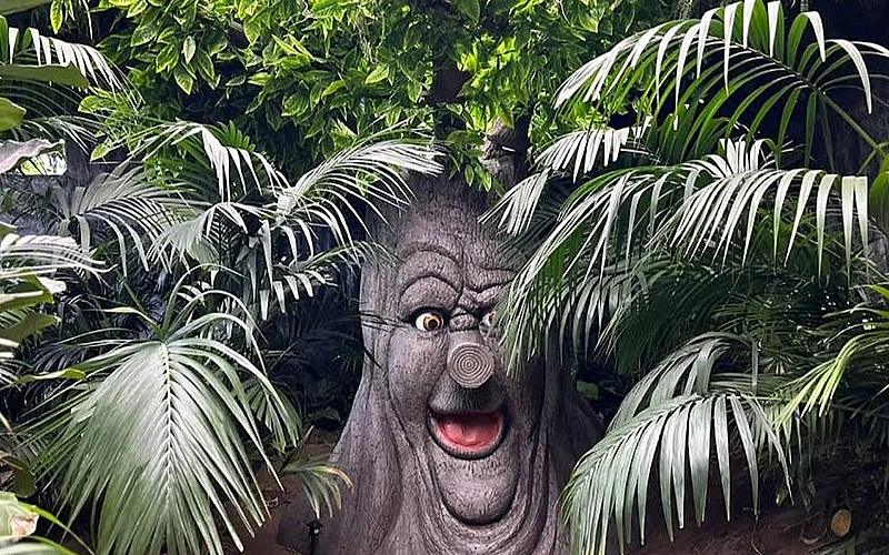 Perfect for All Ages